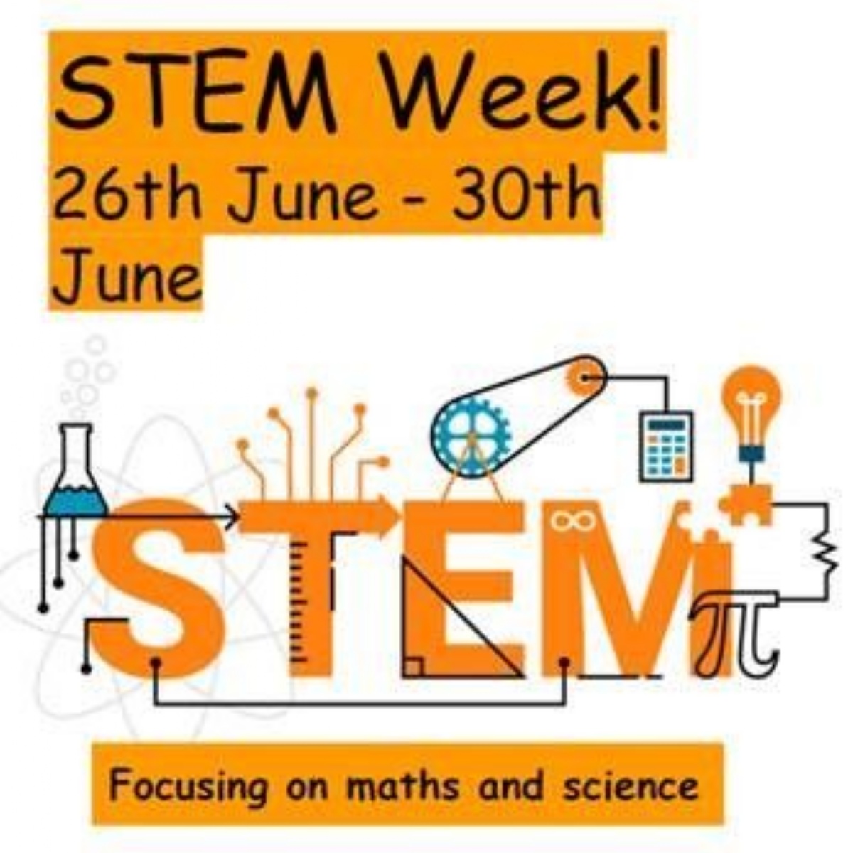 STEM Week The Vineyard School